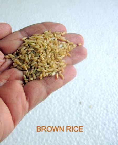 Brown rice Brown rice
