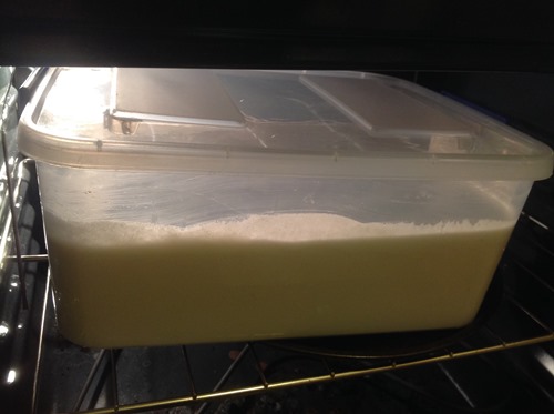 Idli batter fermentation in cold countries-3 Idli batter fermentation in cold countries-3